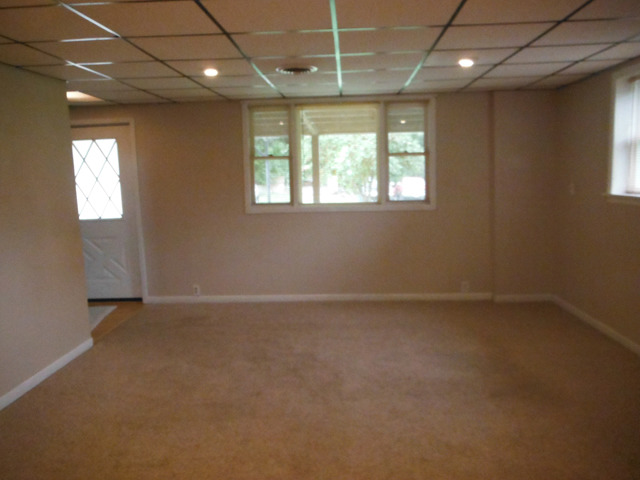 511 Barney Riva Street Dalzell, IL 61320 - Photo 2 of 14