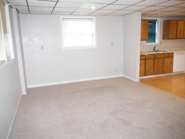 511 Barney Riva Street Dalzell, IL 61320 - Photo 3 of 14