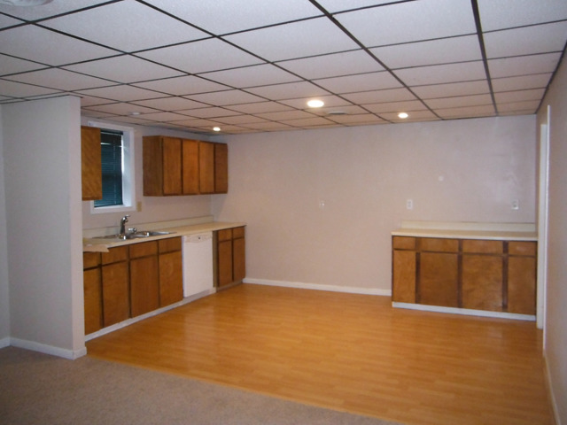 511 Barney Riva Street Dalzell, IL 61320 - Photo 4 of 14