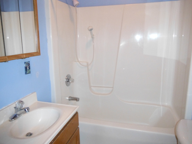 511 Barney Riva Street Dalzell, IL 61320 - Photo 6 of 14