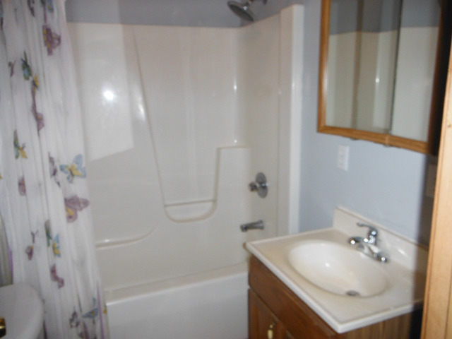 511 Barney Riva Street Dalzell, IL 61320 - Photo 9 of 14