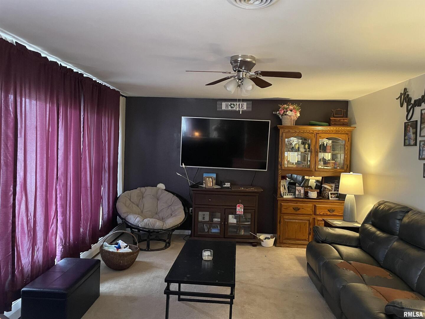 217 Apple Lane Anna, IL 62906 - Photo 12 of 39