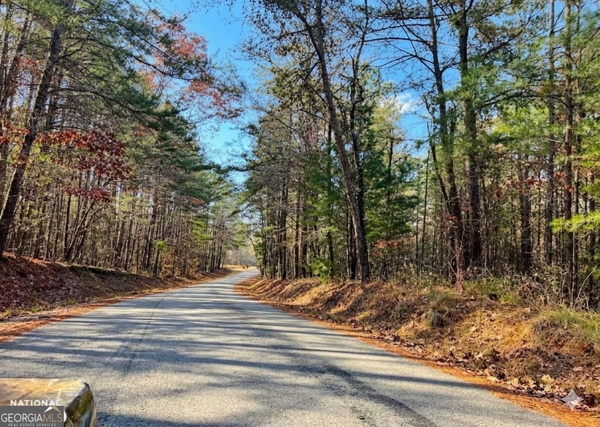 0 Hopeful Road, Unit LOT 2 Munford, AL 36268 - Photo 9 of 12