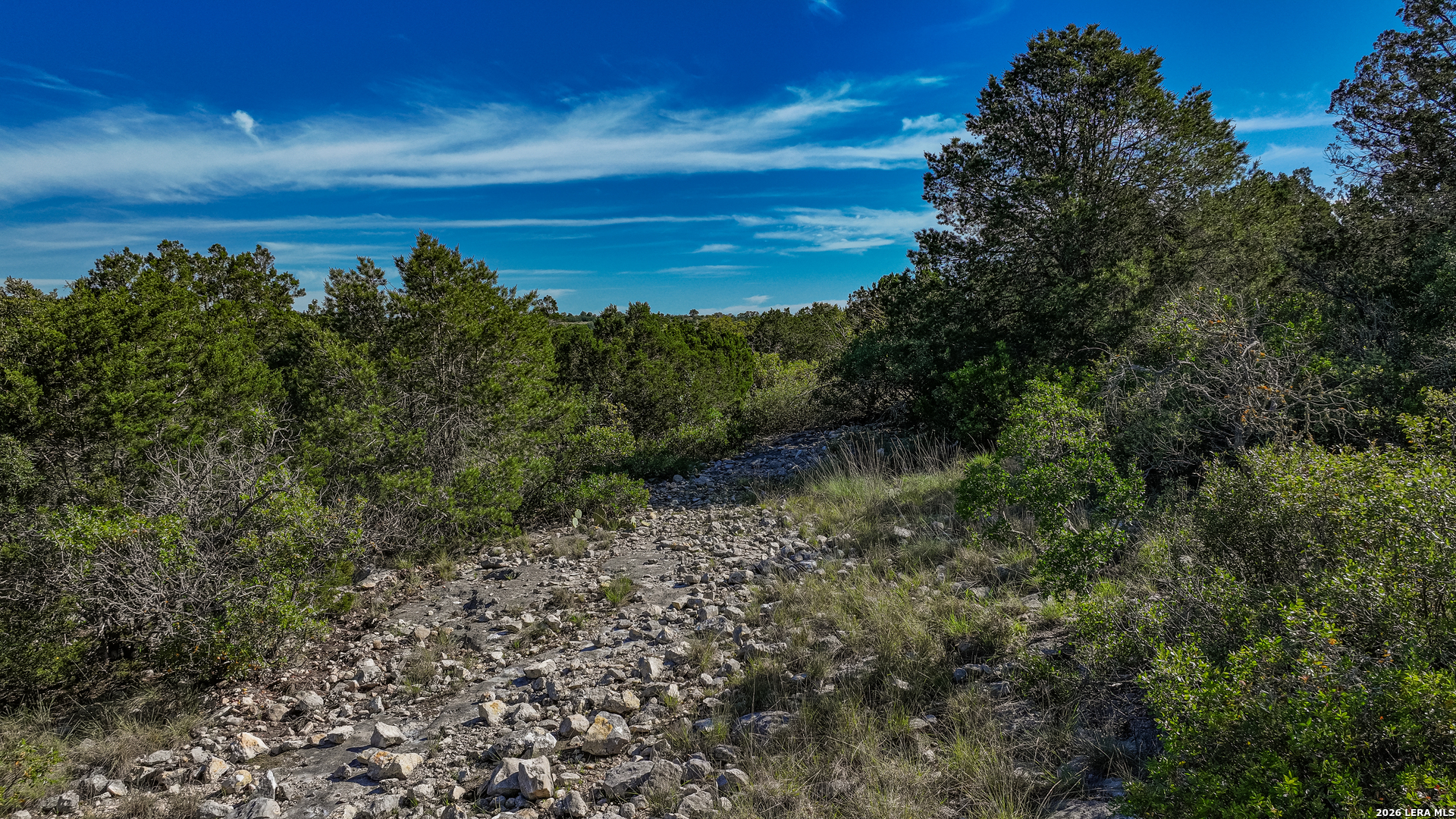 0 Deer Canyons Ranch Rocksprings, TX 78880 - Photo 14 of 39