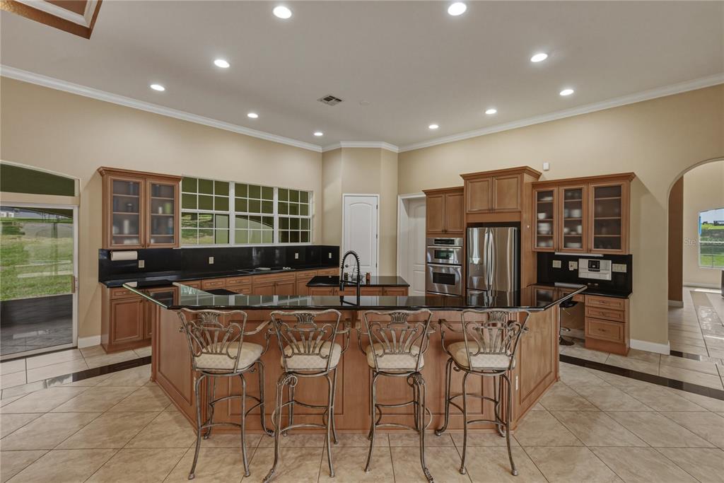 37624 Sky Ridge Circle Dade City, FL 33525 - Photo 27 of 83