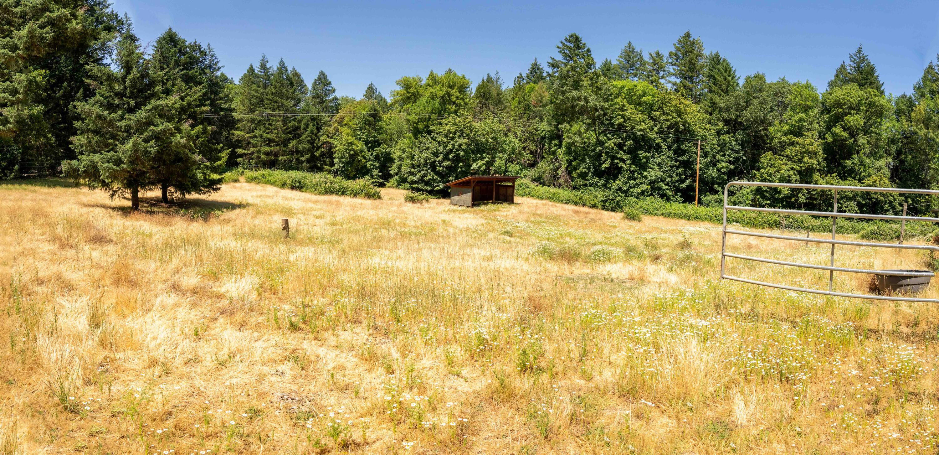 244 Griffin Road Grants Pass, OR 97527 - Photo 77 of 96 DSC07478-HDR-Pano