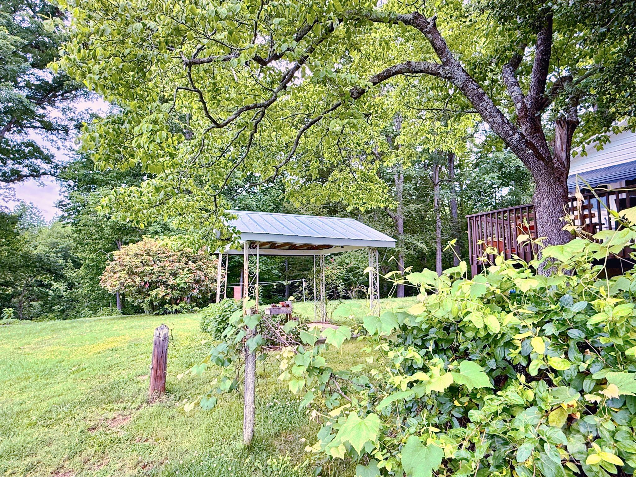 1441 Cove Road Rutherfordton, NC 28139 - Photo 3 of 36 a backyard of a house with lots of green space