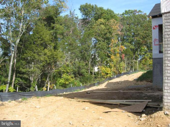 42432 Corro Place Ashburn, VA 20148 - Photo 2 of 6 Back yard