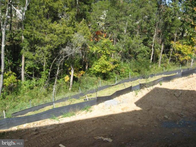 42432 Corro Place Ashburn, VA 20148 - Photo 6 of 6 View of Rear Yard
