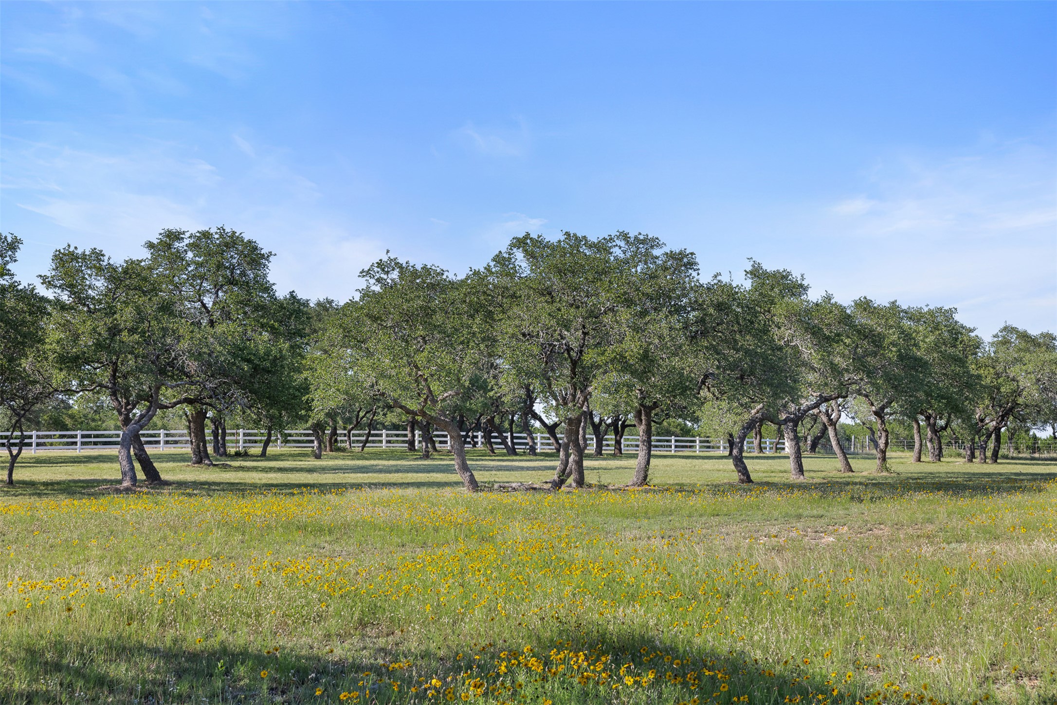 3340 Briggs Road Killeen, TX 76549 - Photo 10 of 40 a view of park space
