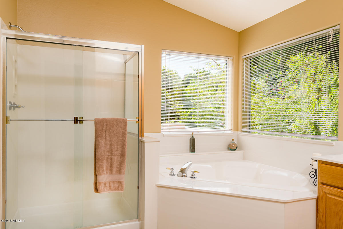 3165 East Desert Willow Road Phoenix, AZ 85048 - Photo 21 of 30 Master Shower and Roman Tub