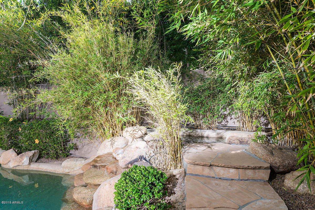 3165 East Desert Willow Road Phoenix, AZ 85048 - Photo 29 of 30 Spa