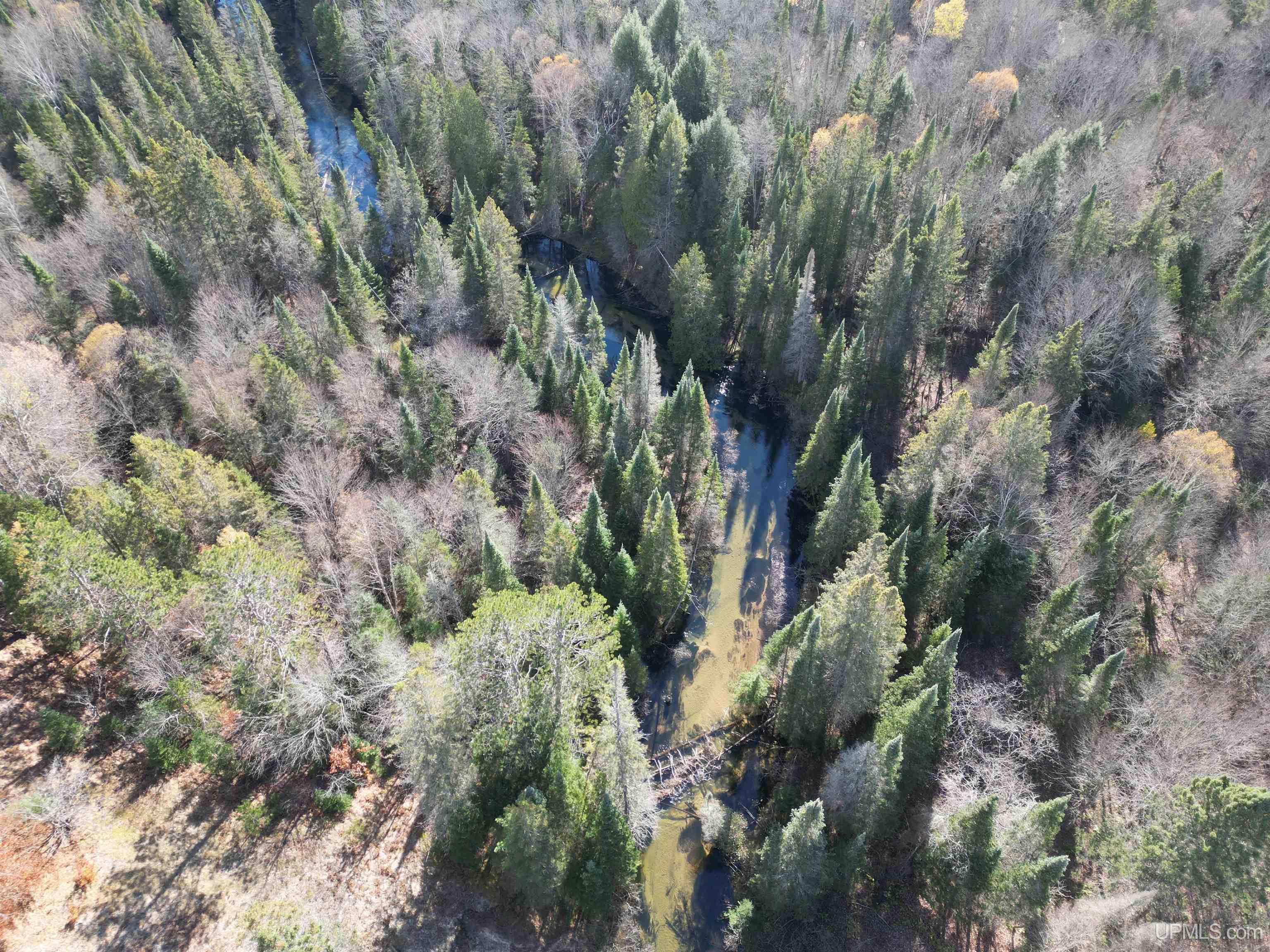 Tbd Co Rd 442 Road McMillan, MI 49853 - Photo 39 of 46 Gallery Image 39