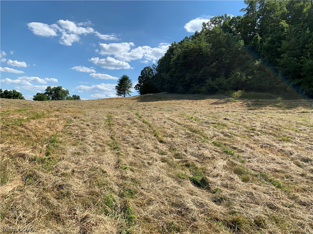 435 De Vaughn Road Walker, WV 26180 - Photo 12 of 19