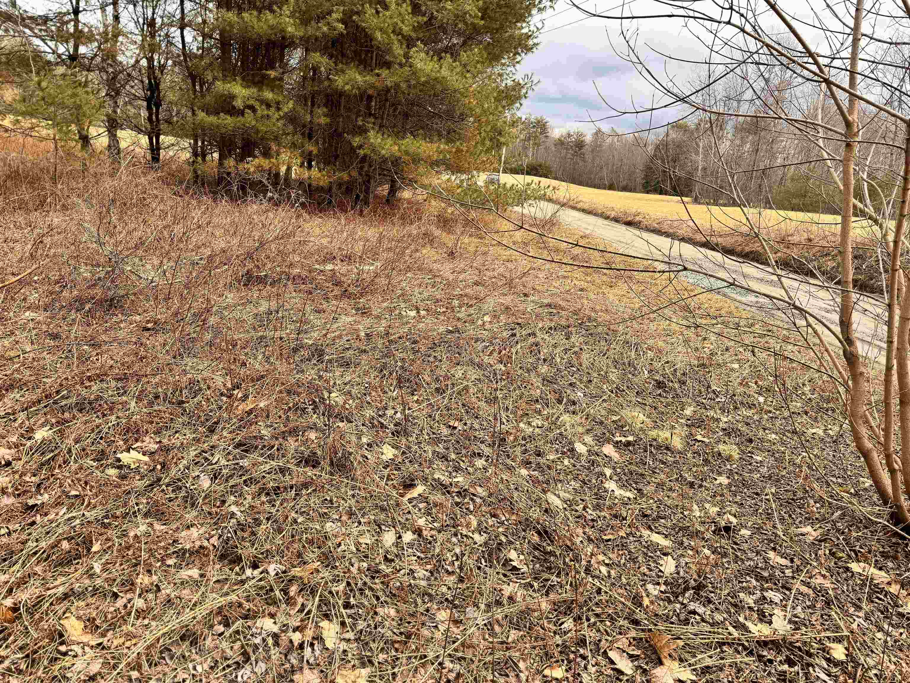 6-7 River Road Bath, NH 03740 - Photo 15 of 31