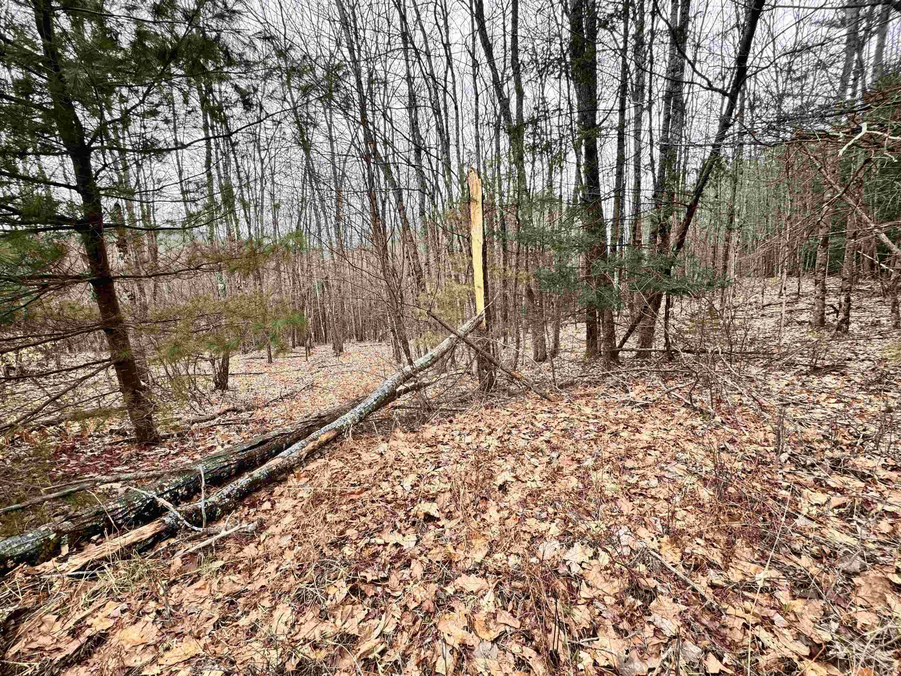 6-7 River Road Bath, NH 03740 - Photo 28 of 31