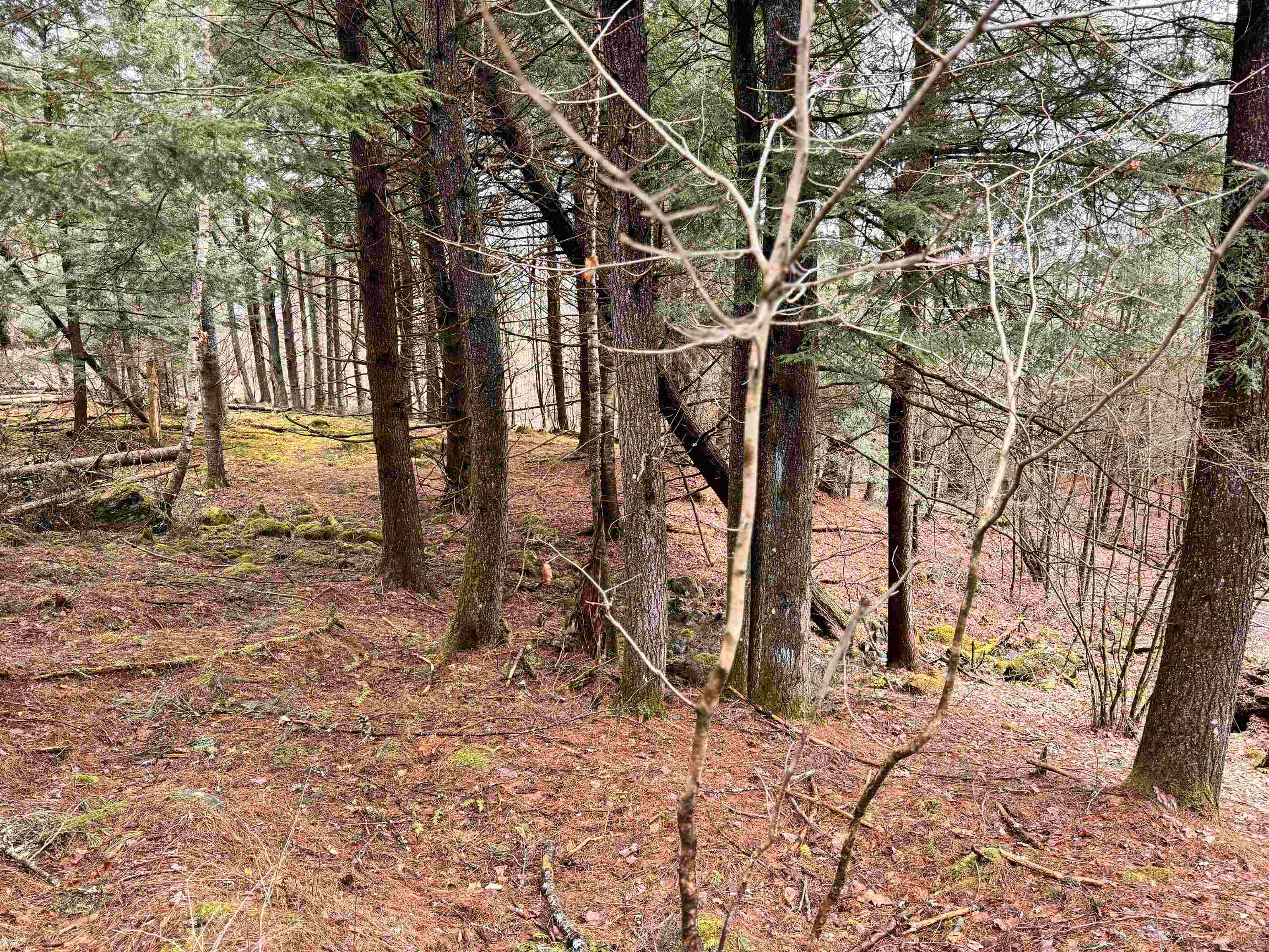 6-7 River Road Bath, NH 03740 - Photo 10 of 31