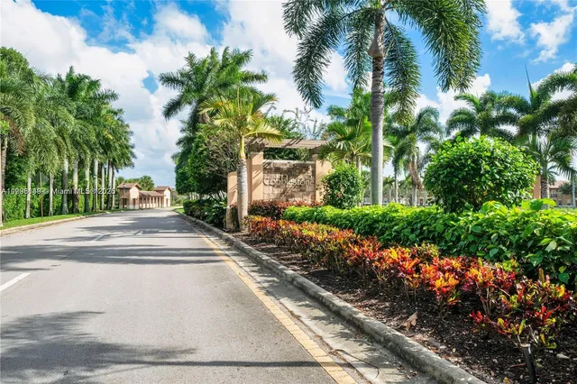 a view of a yard with plants and palm trees