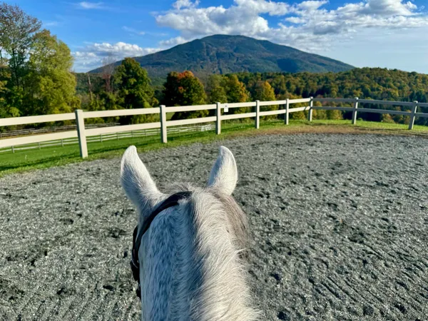 $1,325,000 | 325 Cemetery Road, West Windsor, VT 05089