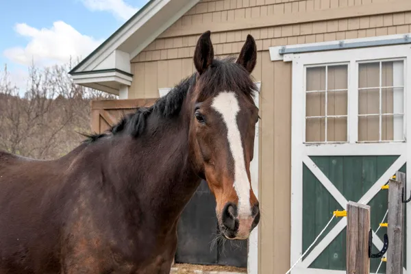 $1,325,000 | 325 Cemetery Road, West Windsor, VT 05089