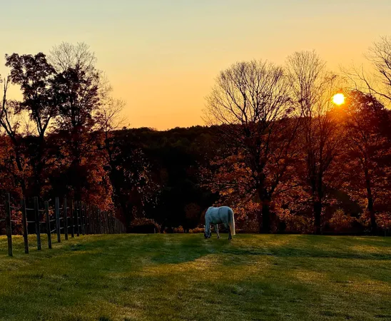 $1,325,000 | 325 Cemetery Road, West Windsor, VT 05089