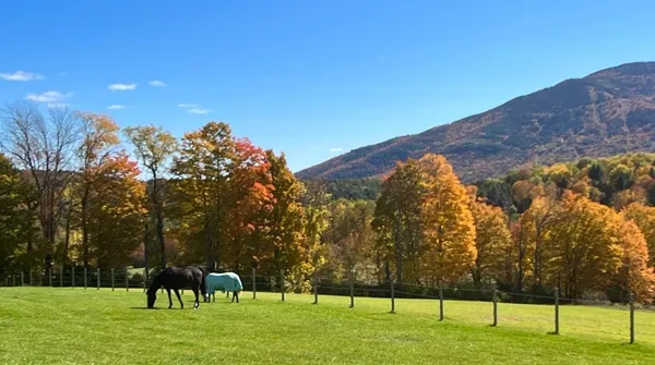$1,325,000 | 325 Cemetery Road, West Windsor, VT 05089