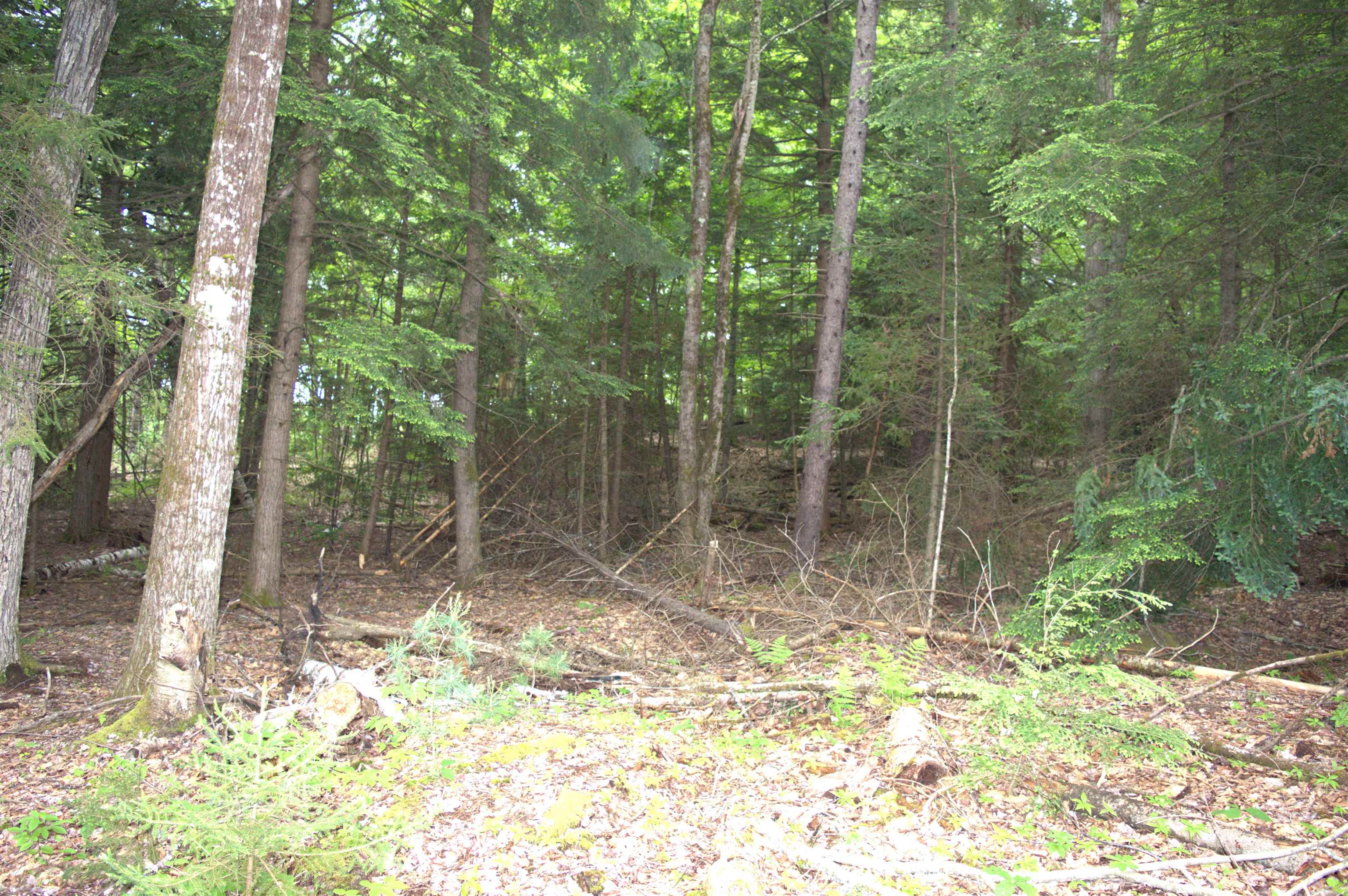 Britton Road, Unit 53644L5 Claremont, NH 03743 - Photo 9 of 19 Gallery Image 9