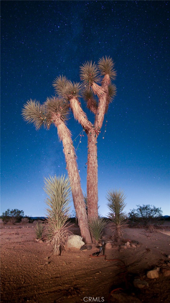 66750 Pole Line Road Joshua Tree, CA 92252 - Photo 36 of 36