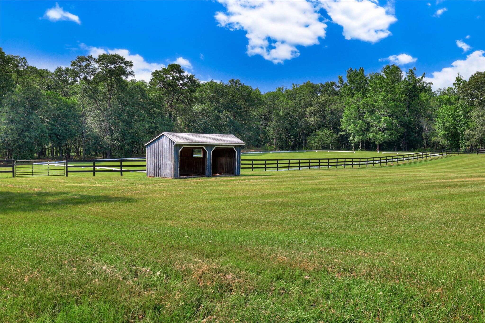 484 Holiness Church Road Wagener, SC 29164 - Photo 32 of 45 Gallery Image 32
