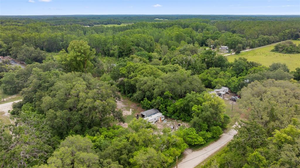 19057 Malabar Avenue Spring Hill, FL 34610 - Photo 16 of 23 a view of a lush green forest with trees and some houses