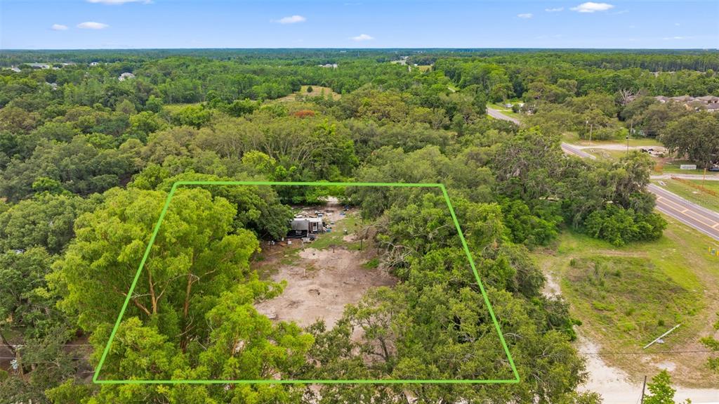 19057 Malabar Avenue Spring Hill, FL 34610 - Photo 22 of 23 a view of a garden