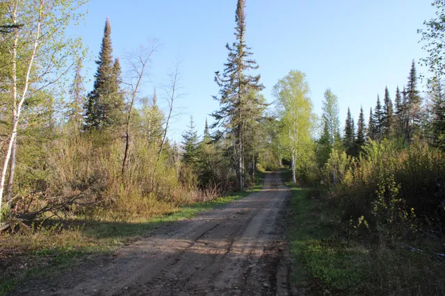 $750,000 | 1339 Tom Lake Road, Hovland, MN 55606