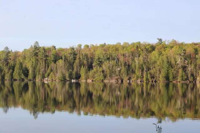 $750,000 | 1339 Tom Lake Road, Hovland, MN 55606