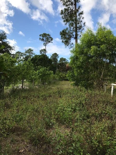 Lot Tripp Lot Tripp Road Loxahatchee, FL 33470 - Photo 10 of 25 IMG_6528