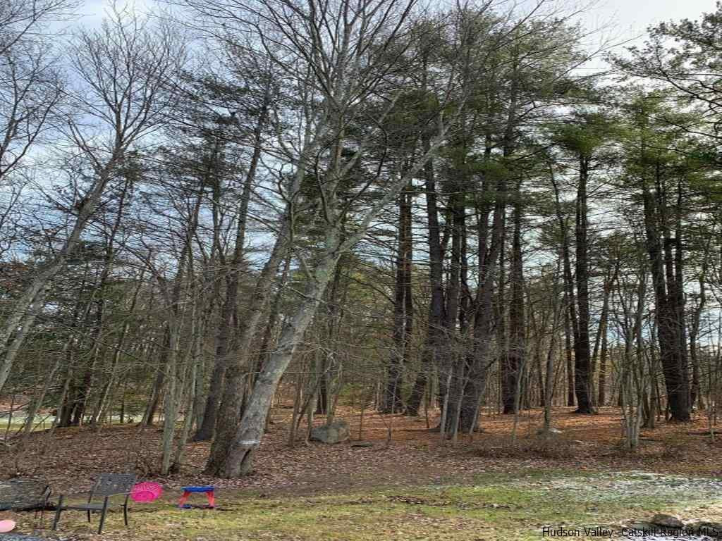20 Old Mill Road Rifton, NY 12487 - Photo 12 of 12 Photo 12