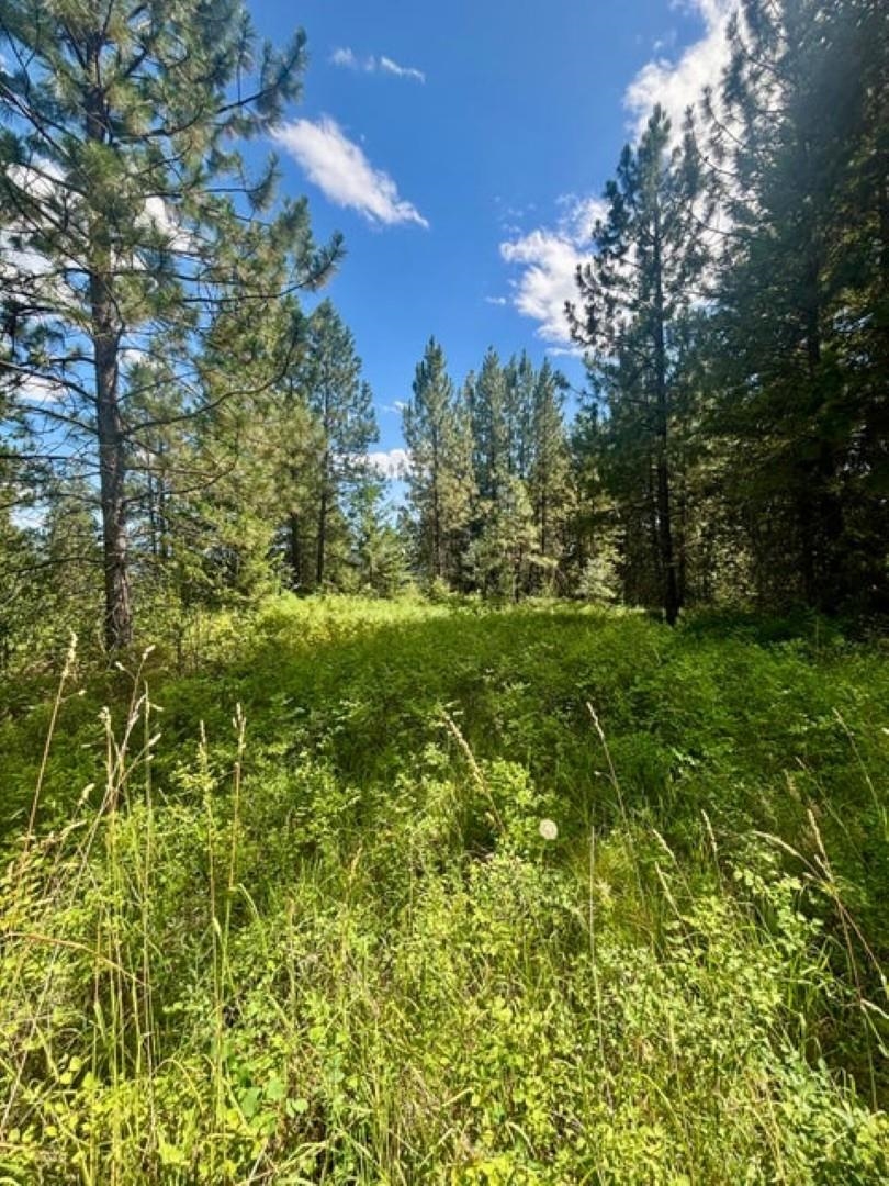 Xxxx Hill Loop Road Kettle Falls, WA 99141 - Photo 14 of 17 Gallery Image 14
