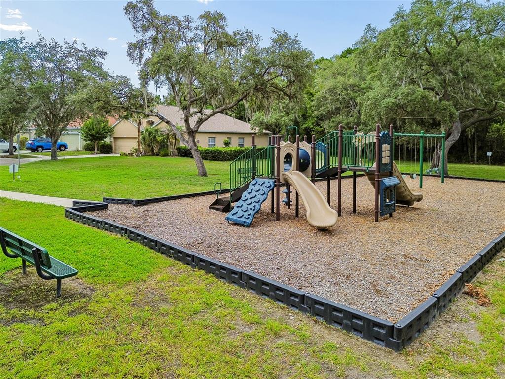 12155 Infinity Drive New Port Richey, FL 34654 - Photo 73 of 75