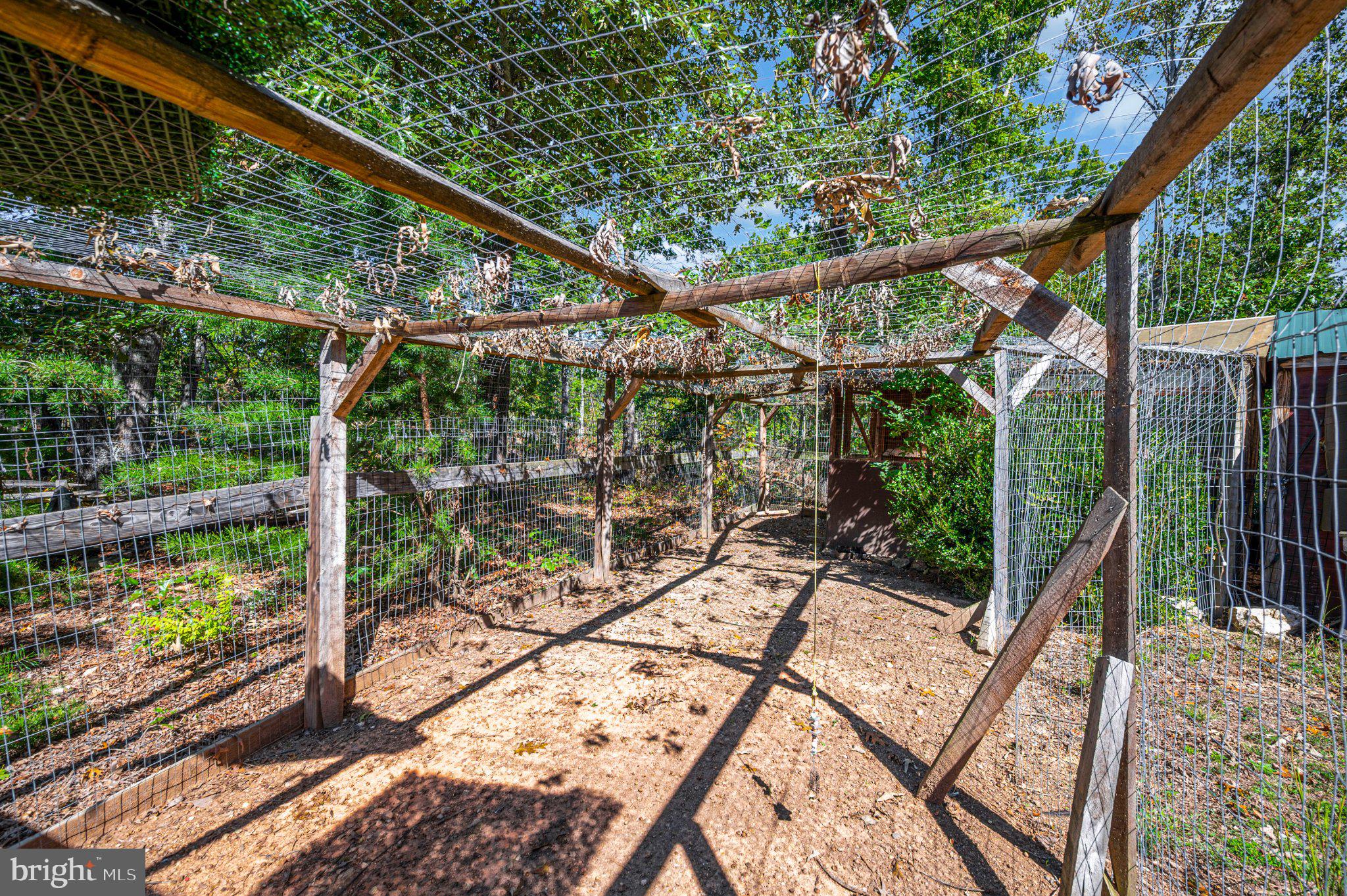2169 Beaver Dam Road Midland, VA 22728 - Photo 76 of 105 Chicken coop view #3