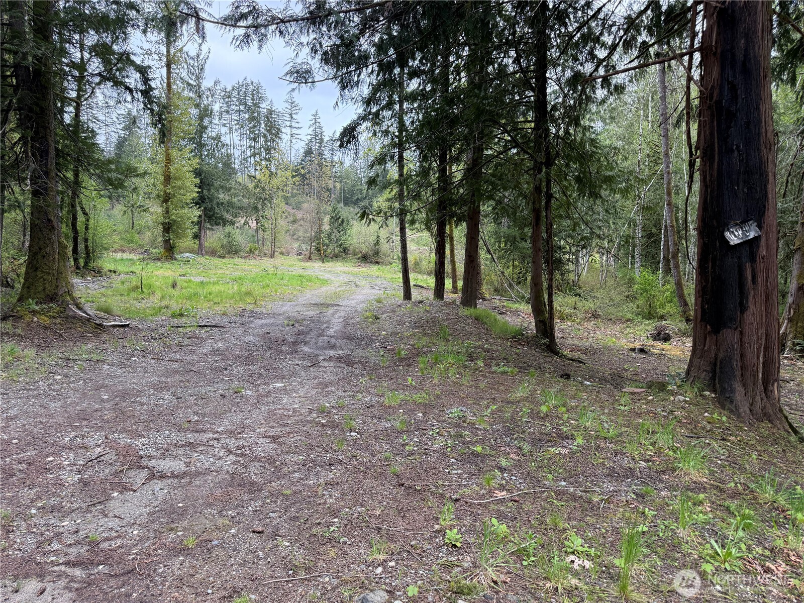 0 Southwest Spruce Road Port Orchard, WA 98367 - Photo 1 of 7 Gallery Image 1