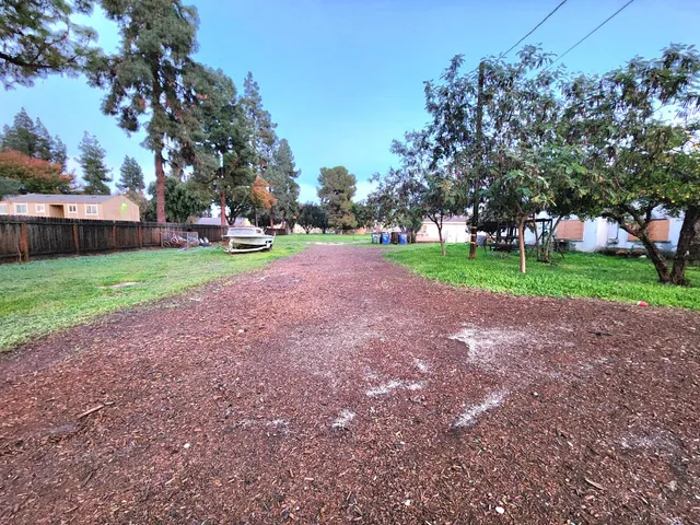 a view of a park with large trees