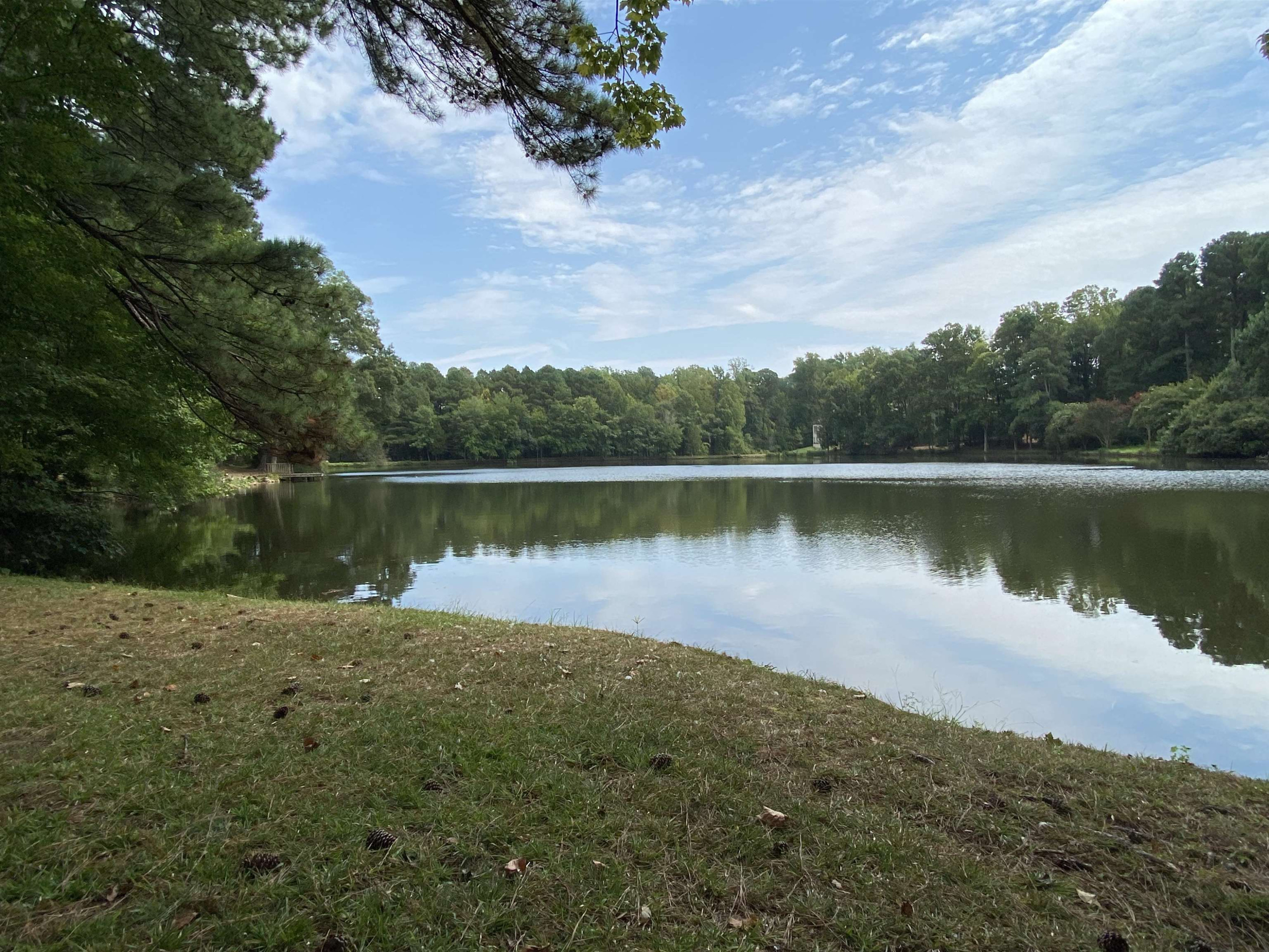 9005 Oneal Road Raleigh, NC 27613 - Photo 5 of 24 Photo 5