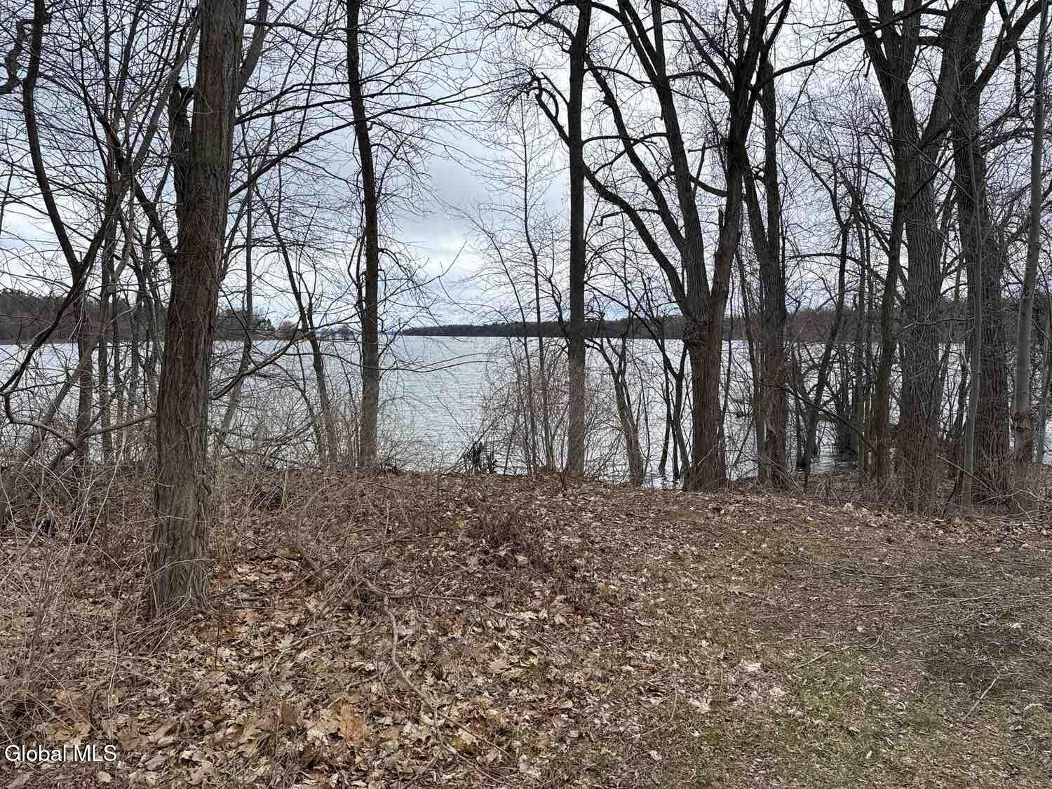 15 Champlain Shores Way Crown Point, NY 12928 - Photo 1 of 5 View
