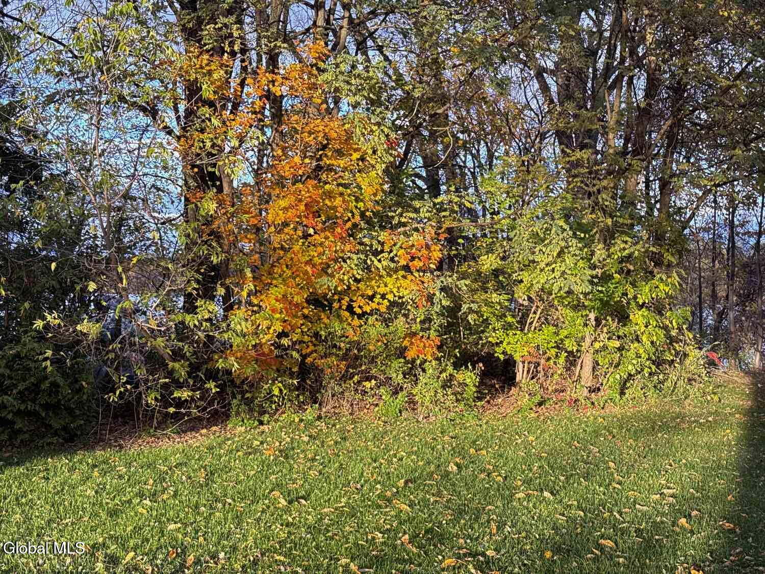 15 Champlain Shores Way Crown Point, NY 12928 - Photo 3 of 5 Back