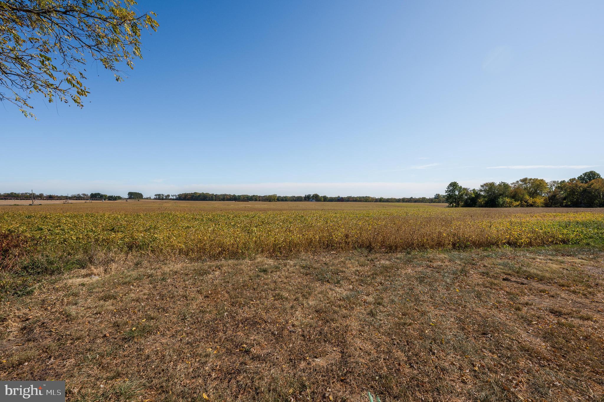 162 Halltown Road Mannington, NJ 08079 - Photo 41 of 46