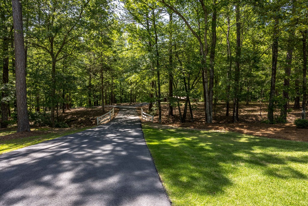 12225 County Line Road Midland, GA 31820 - Photo 3 of 66 Gallery Image 3