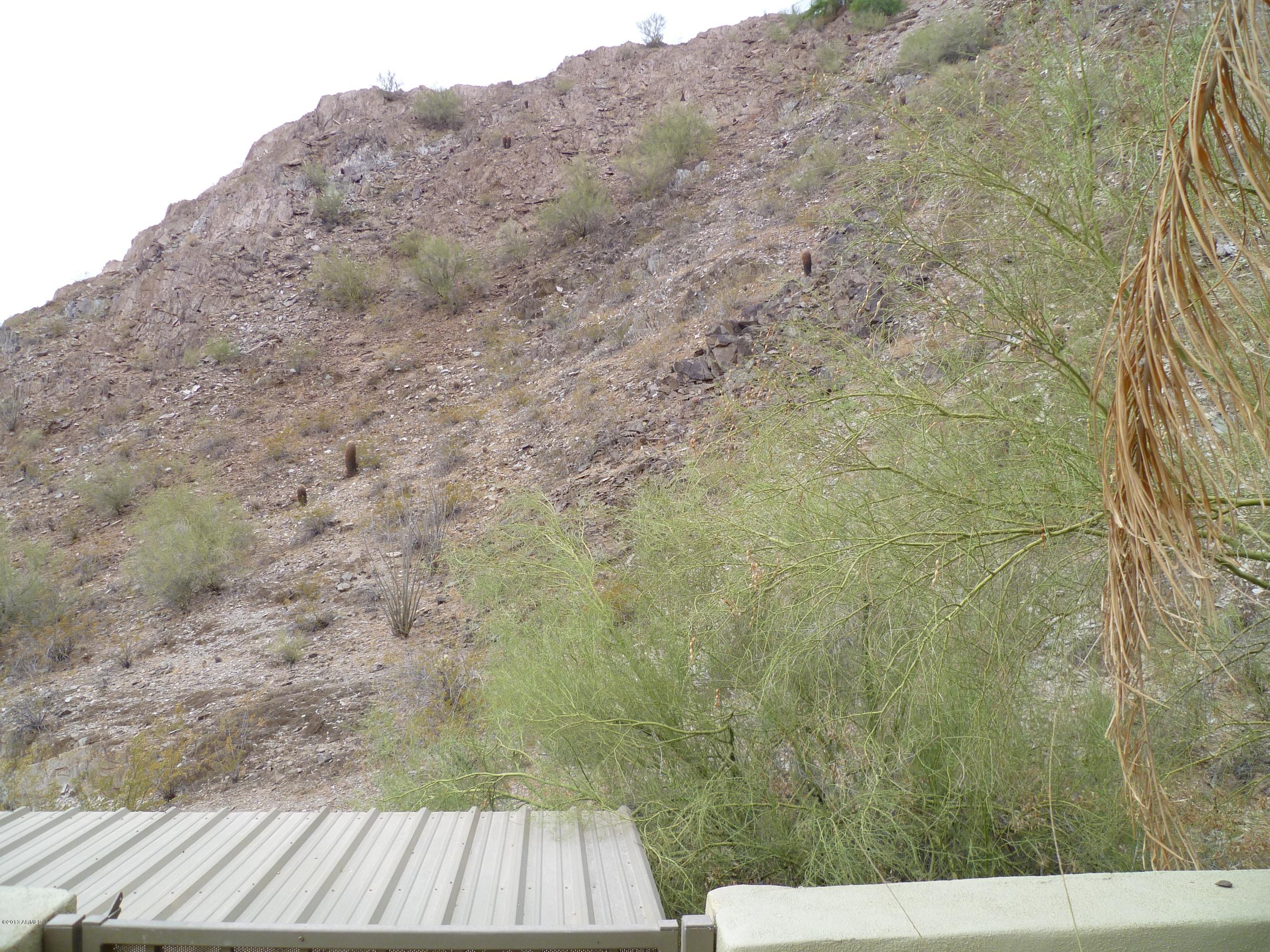 1912 East Mountain View Road Phoenix, AZ 85020 - Photo 45 of 81 P1030655