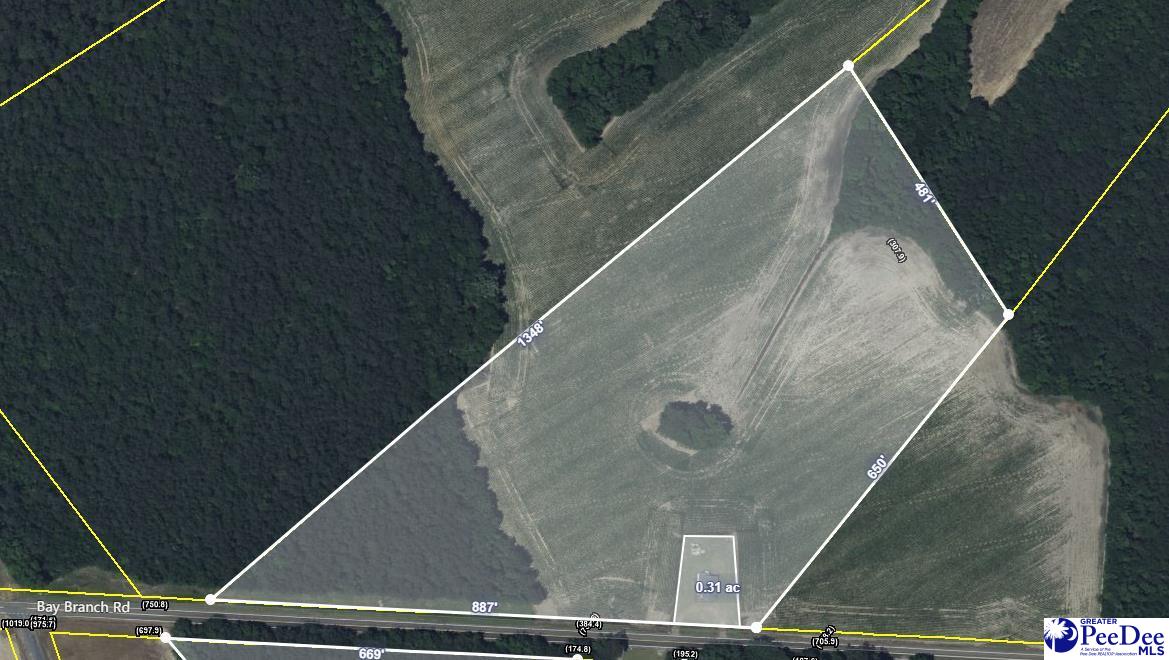 Bay Branch Road Lamar, SC 29069 - Photo 1 of 1 Gallery Image 1