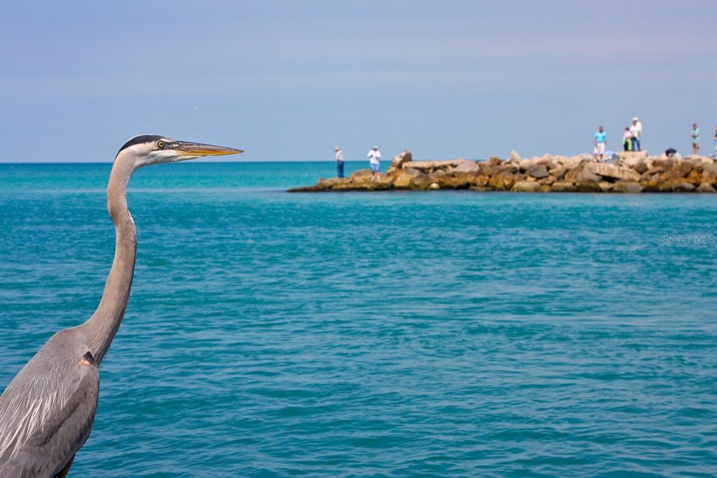 501 Albee Farm Road, Unit V12 Venice, FL 34285 - Photo 32 of 35