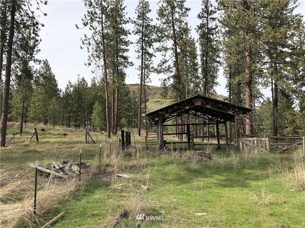 37529 Redwine Canyon Road Creston, WA 99117 - Photo 21 of 24 Gallery Image 21