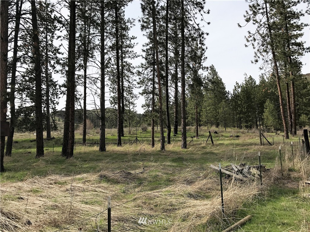 37529 Redwine Canyon Road Creston, WA 99117 - Photo 22 of 24 Gallery Image 22